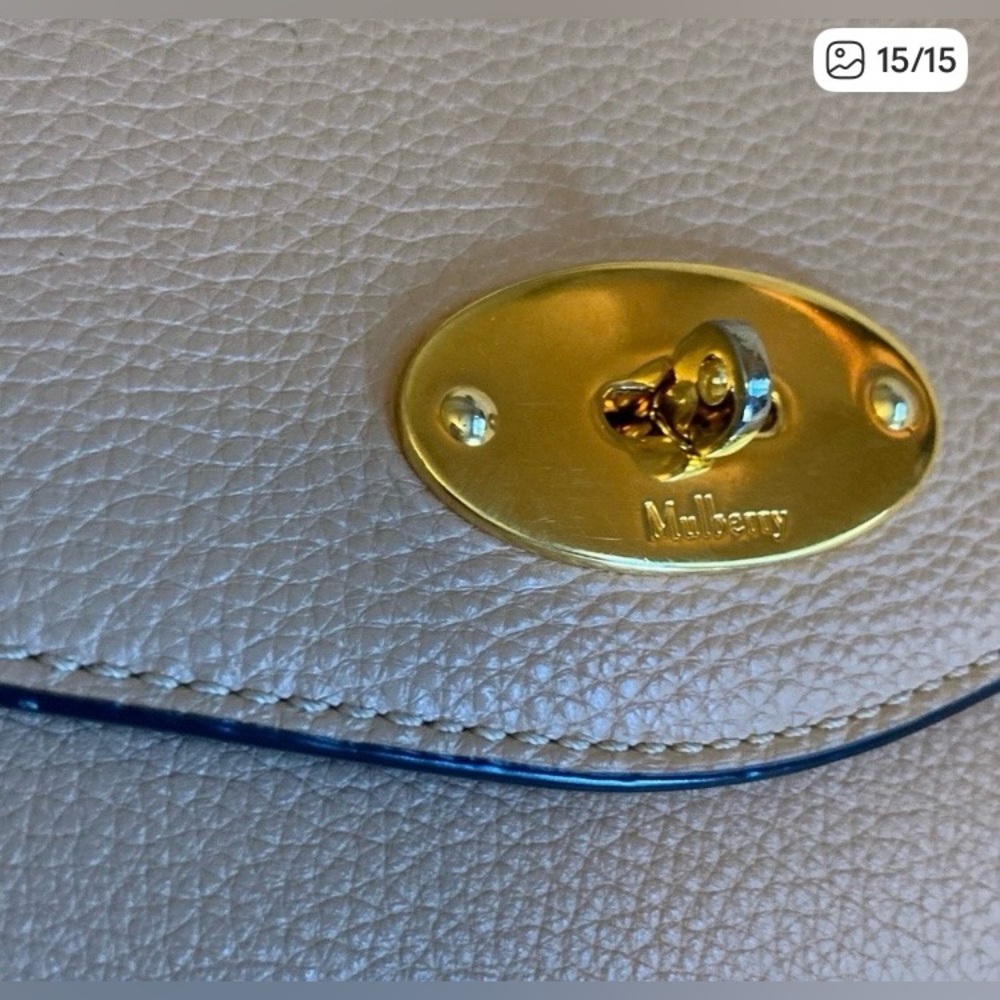 Mulberry MEDIUM Darley crossbody bag Rosewater/ nude - Picture 15 of 15